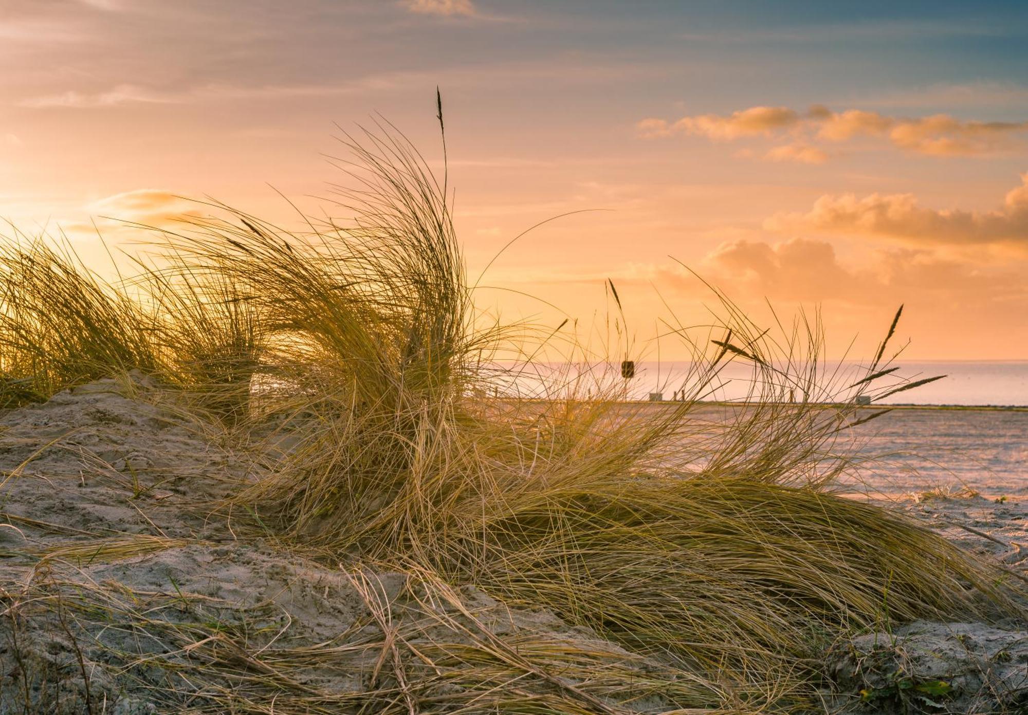 Hotel Regina Maris Norddeich  Buitenkant foto